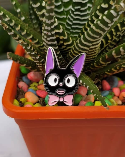 Pin Jiji
